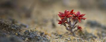 It doesn’t matter what you have&nbsp;done.