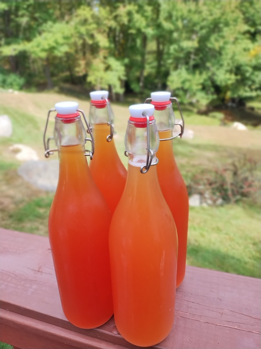 LEE S TEAS Fine Fizzy Brother Lee lee-s-teas-fine-fizzy-brother-lee